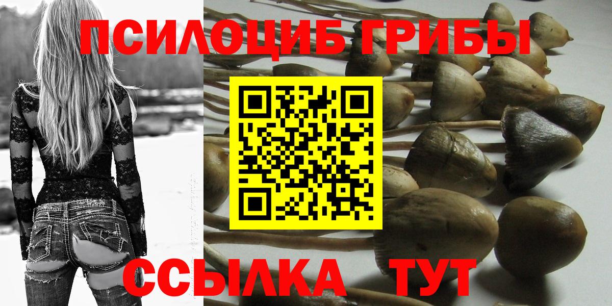 Героин Камышлов