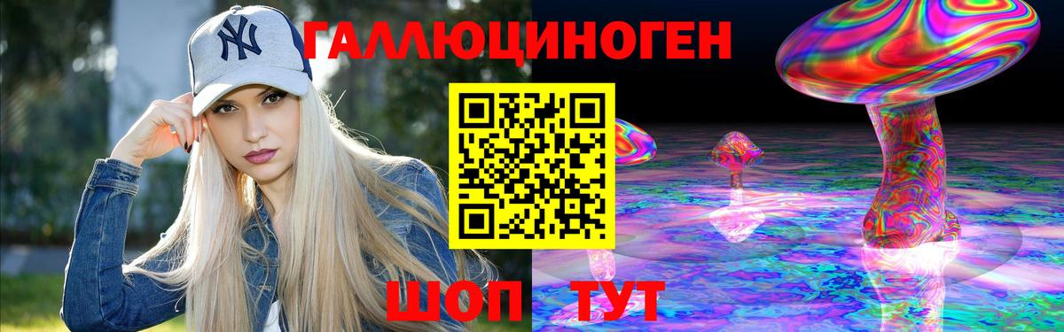 Псилоцибиновые грибы Magic Shrooms  закладки  Вход с VPN  Камышлов  Псилоцибиновые грибы Cubensis 