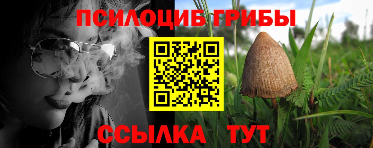 Галлюциногенные грибы Cubensis Камышлов